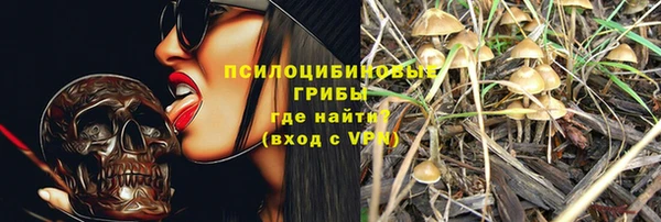 экстази Белокуриха