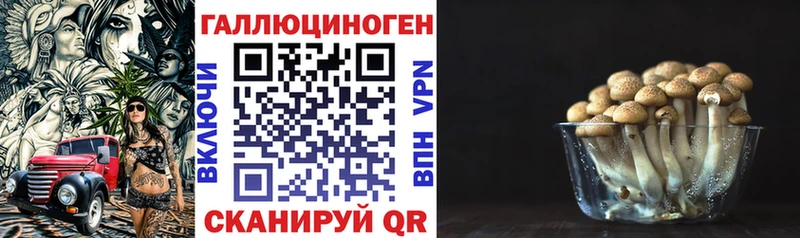 Псилоцибиновые грибы MAGIC MUSHROOMS  Болохово 